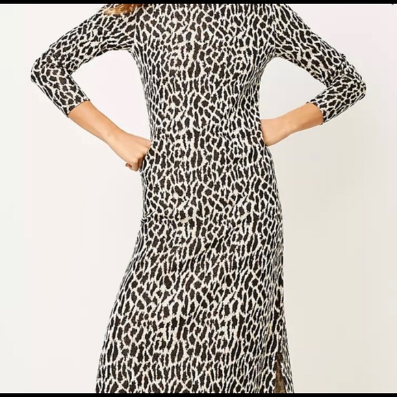 NWT - Animal Spotted Midi Dress - Size Medium - Picture 5 of 6